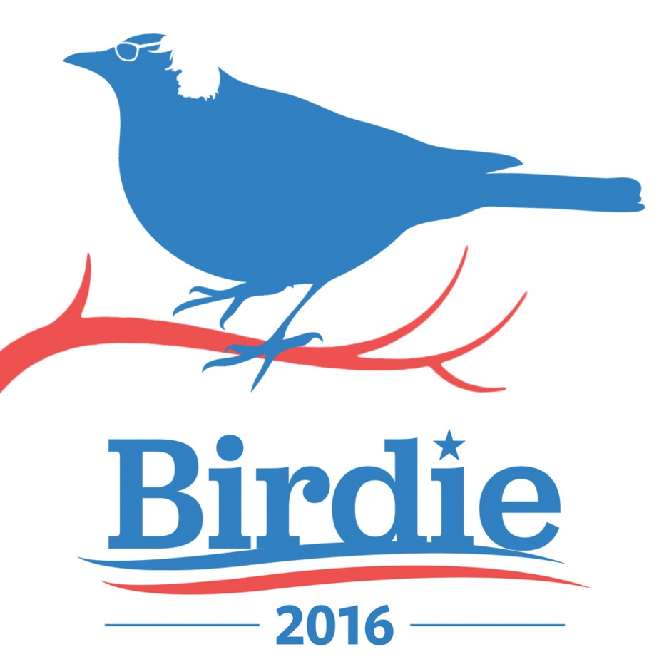 10 Best 'Birdie Sanders' Memes To 'Fly' Out Of Portland's Surprise ...